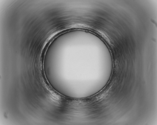 X0000096970931200802080920