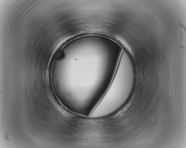 X0000096970932200802080920