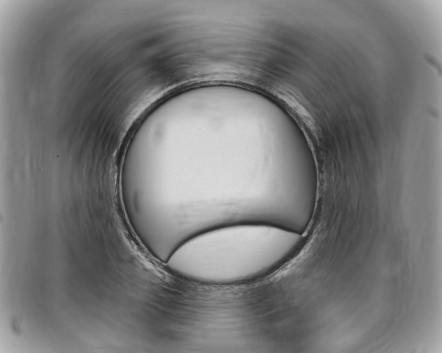 X0000096970933200802080920