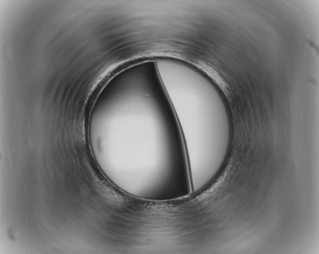 X0000096970934200802080920
