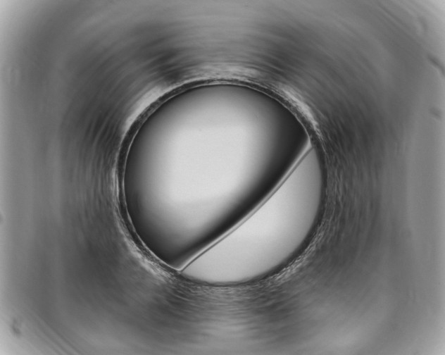 X0000096970936200802080920