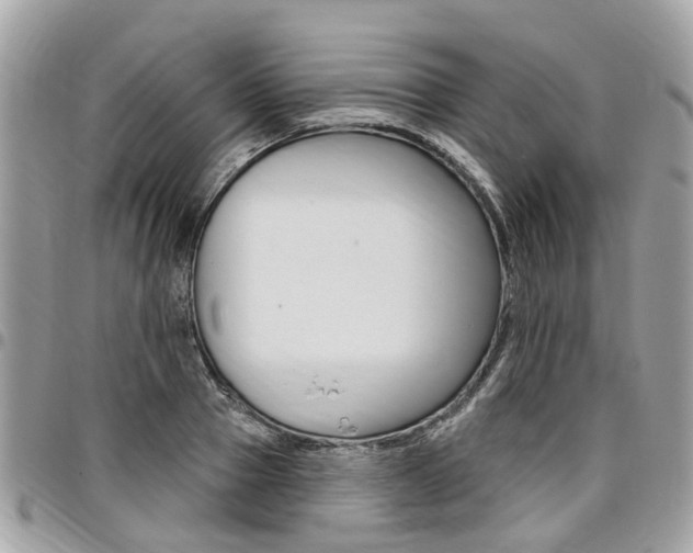 X0000096970937200802080920