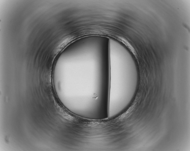 X0000096970938200802080920