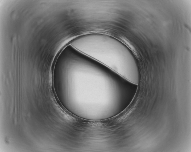 X0000096970940200802080920