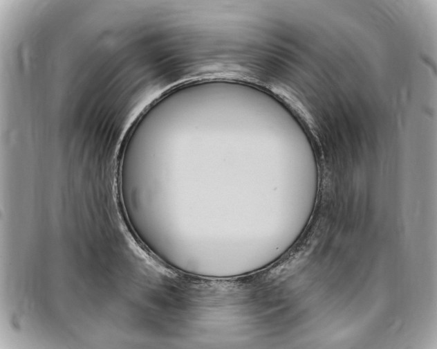 X0000096970941200802080920