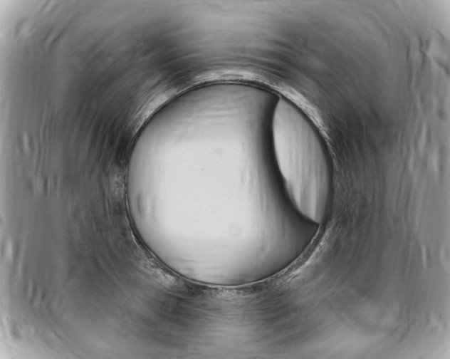 X0000096970945200802080920