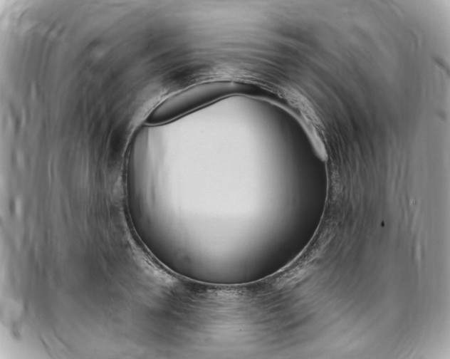X0000096970946200802080920