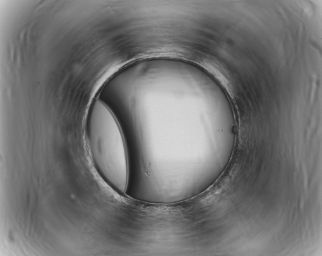 X0000096970949200802080920