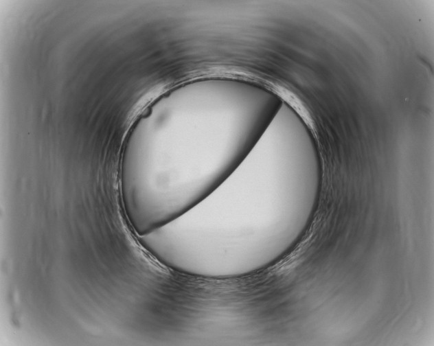 X0000096970954200802080920