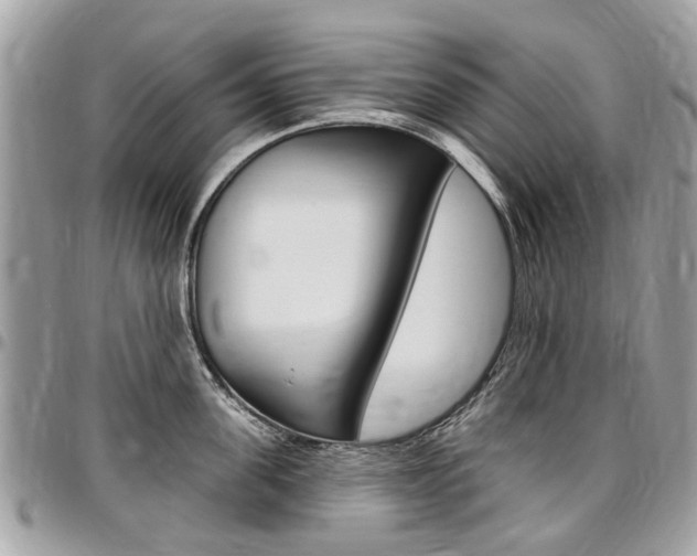 X0000096970955200802080920