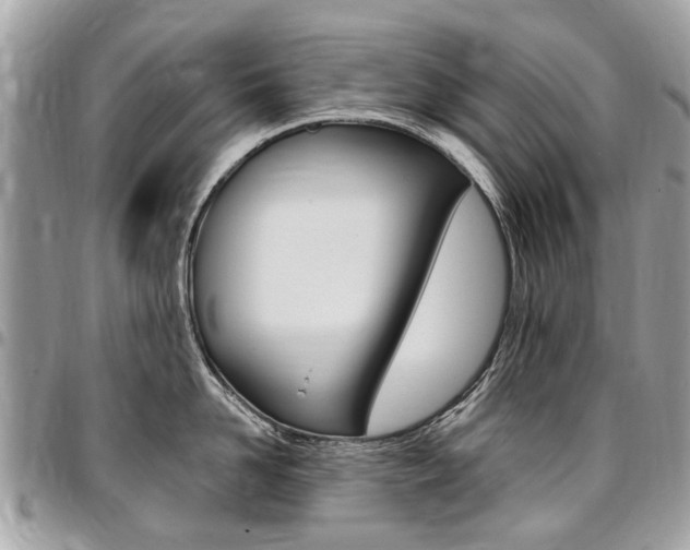 X0000096970958200802080920