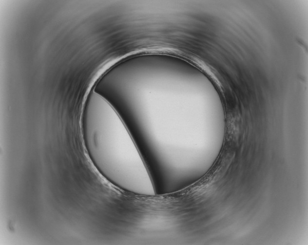 X0000096970959200802080920