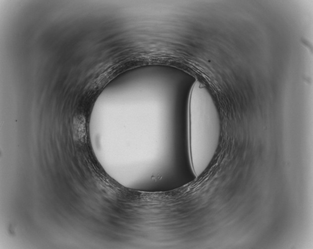 X0000096970963200802080920