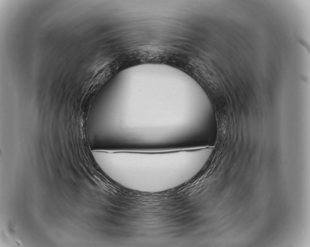 X0000096970964200802080920
