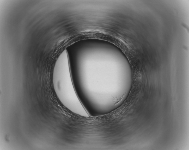X0000096970965200802080919