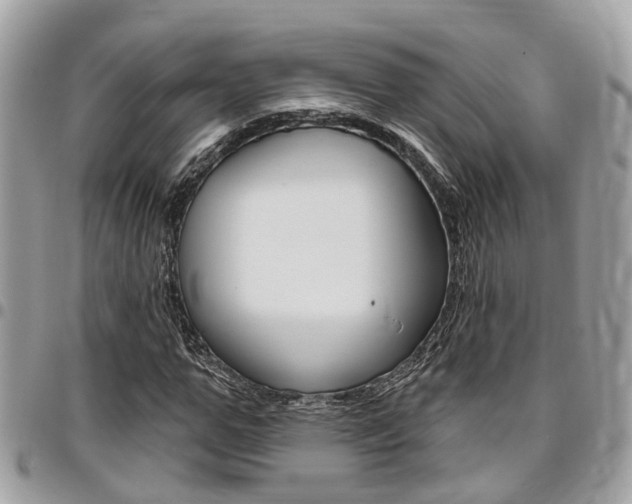 X0000096970967200802080919