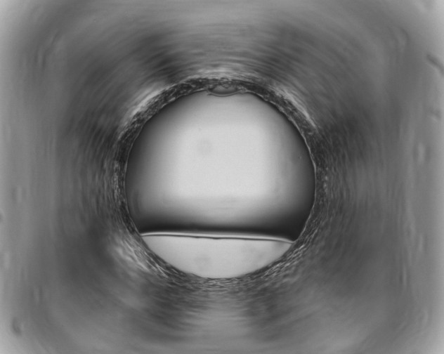 X0000096970968200802080919