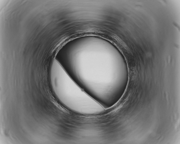 X0000096970969200802080919