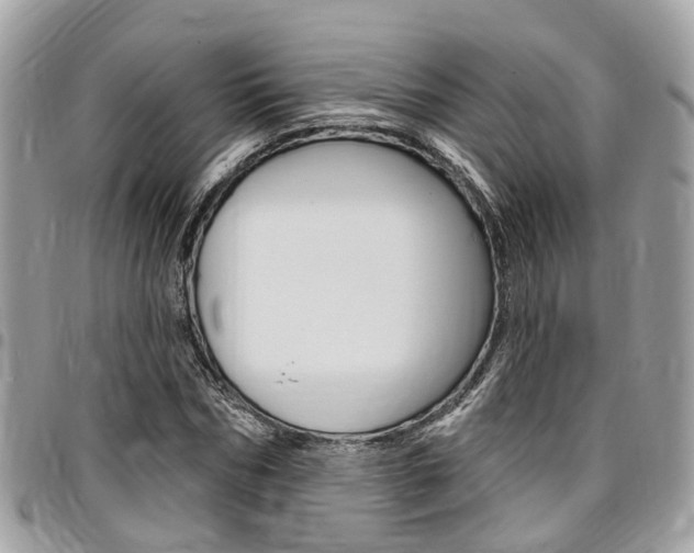 X0000096970970200802080919