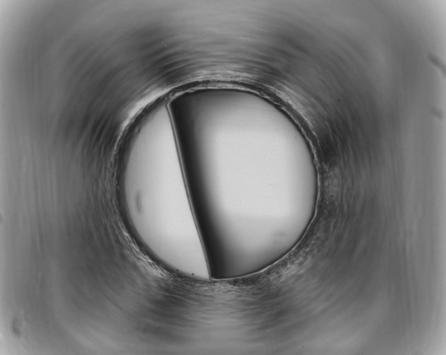 X0000096970971200802080919
