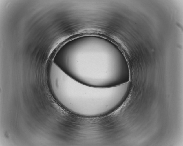 X0000096970973200802080919
