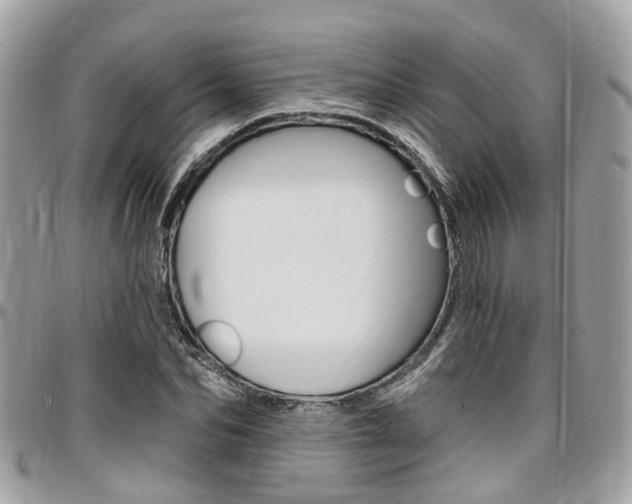 X0000096970974200802080919