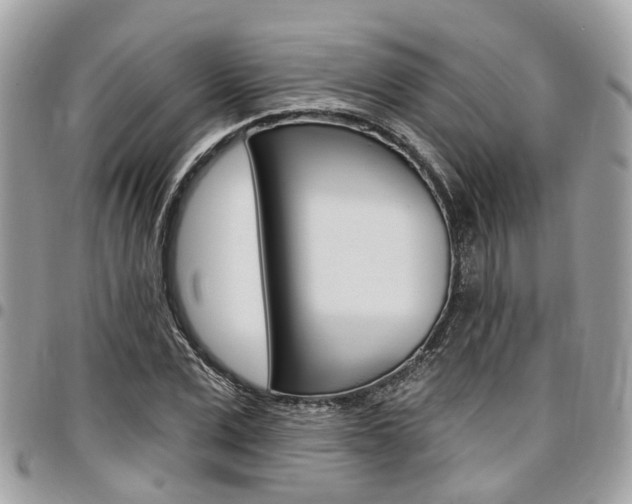 X0000096970975200802080919