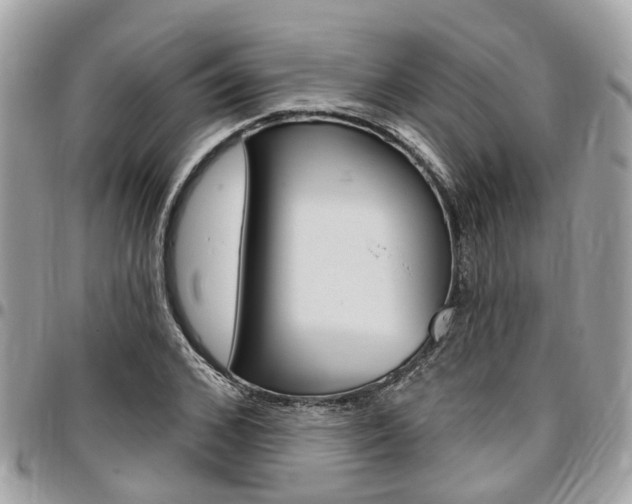 X0000096970976200802080919