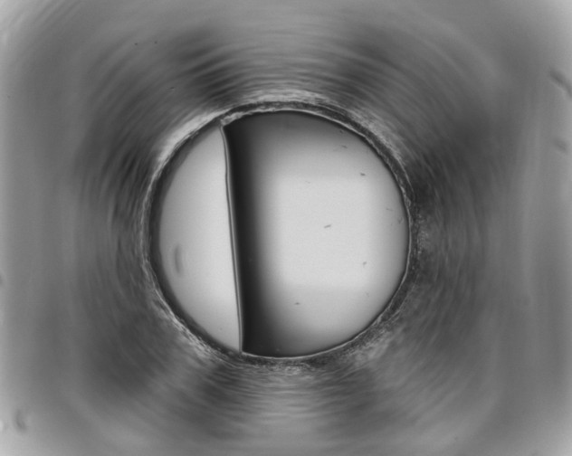 X0000096970979200802080919