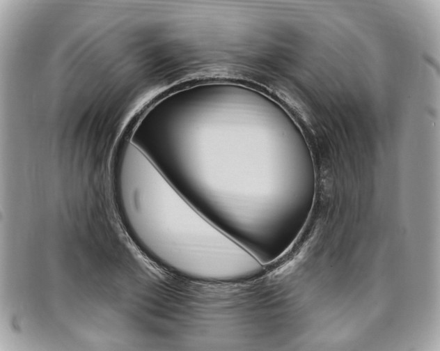X0000096970981200802080919