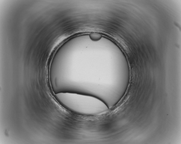 X0000096970982200802080919