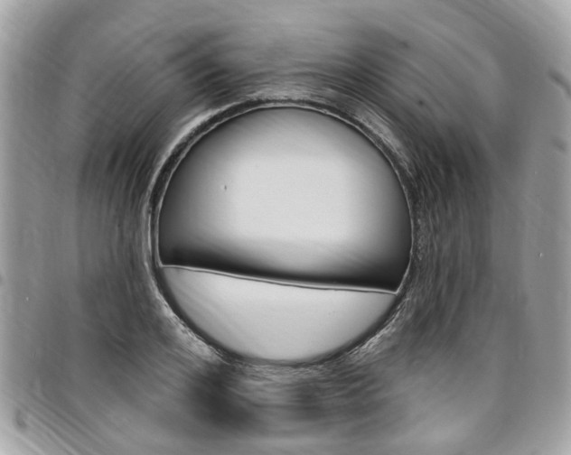 X0000096970984200802080919