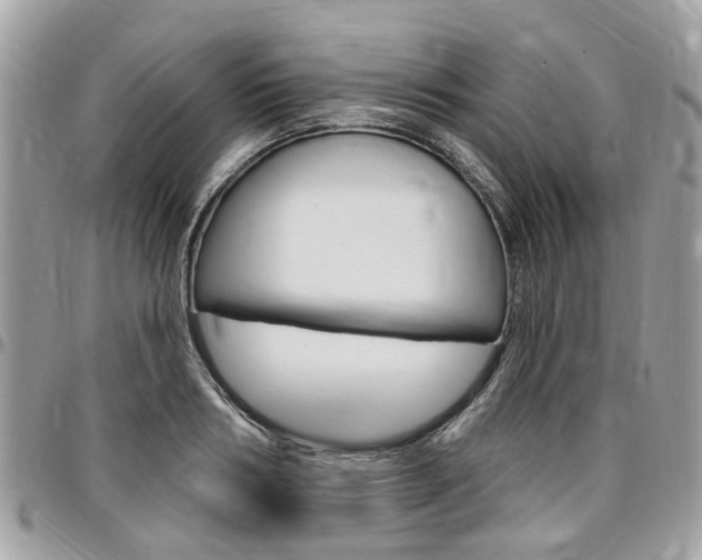 X0000096970986200802080919