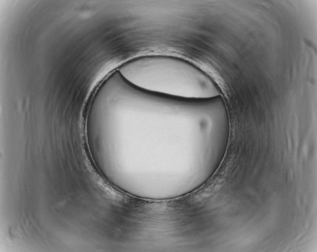 X0000096970990200802080919