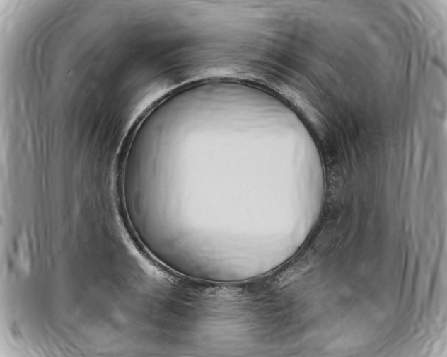 X0000096970991200802080919