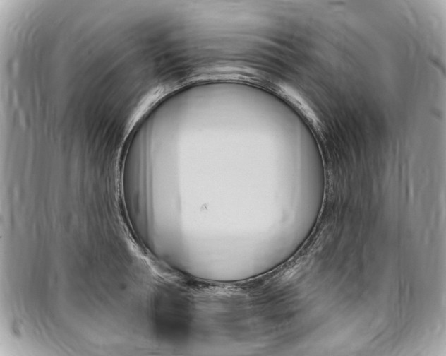X0000096970994200802080919