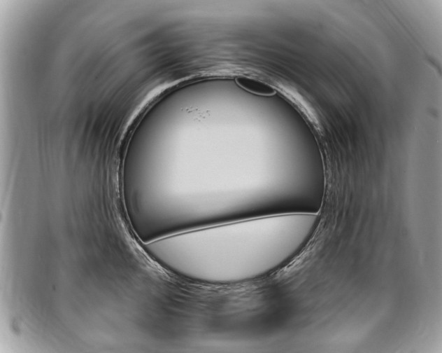 X0000096971000200802080919