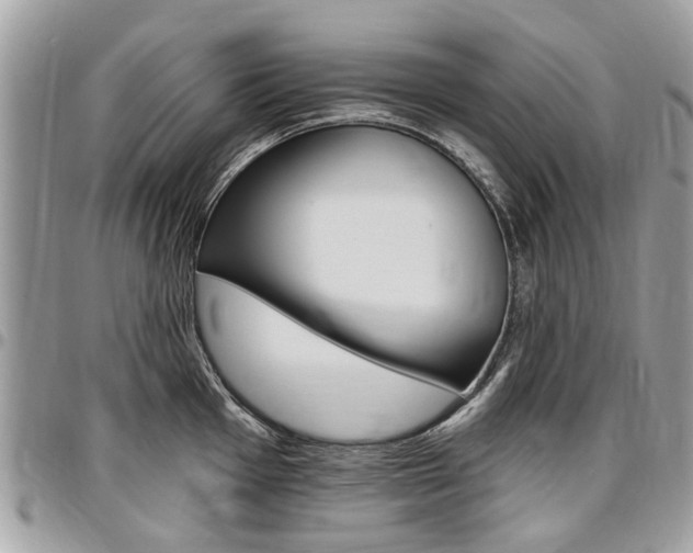 X0000096971001200802080919