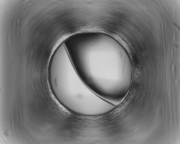 X0000096971005200802080919