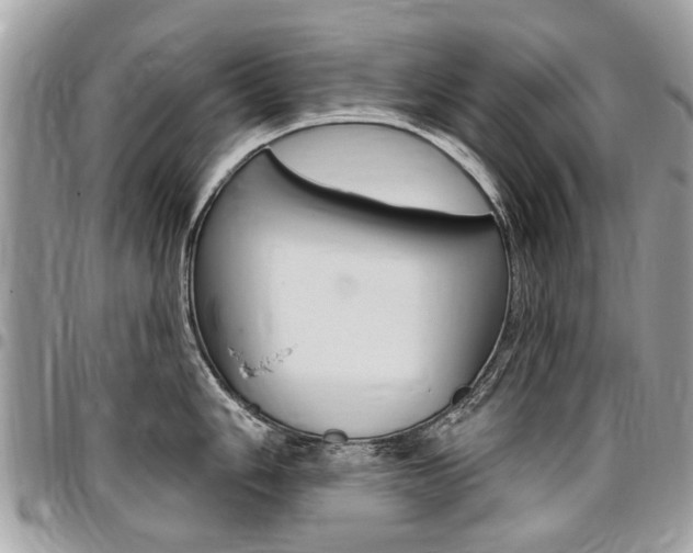 X0000096971006200802080919