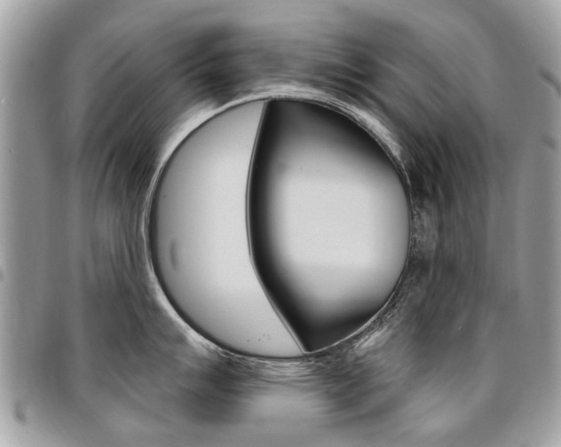 X0000096971007200802080919