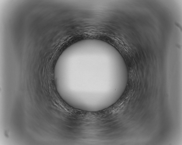 X0000096971009200802080918
