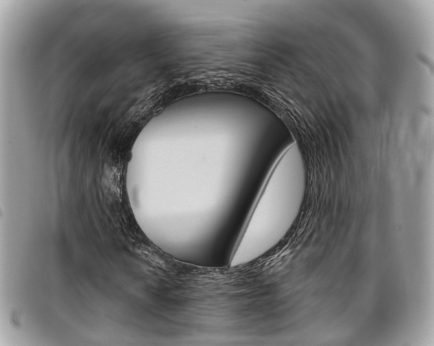 X0000096971010200802080918