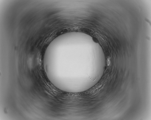 X0000096971011200802080918
