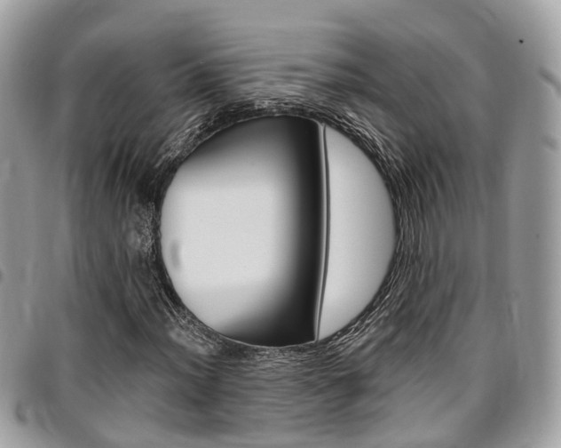 X0000096971012200802080918