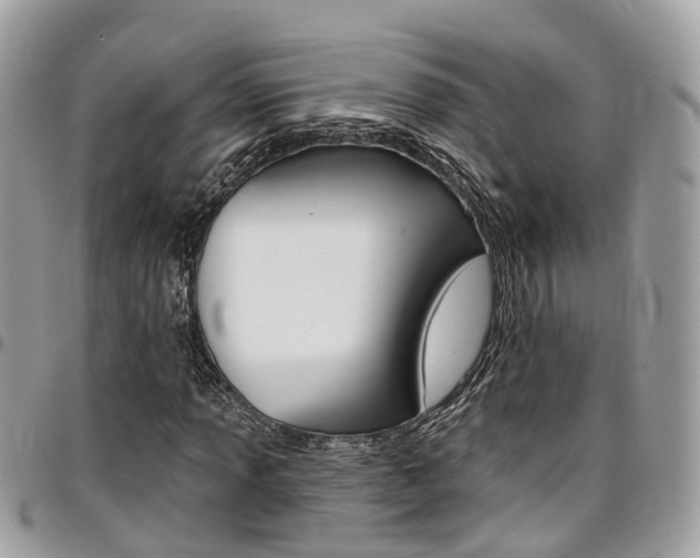 X0000096971013200802080918