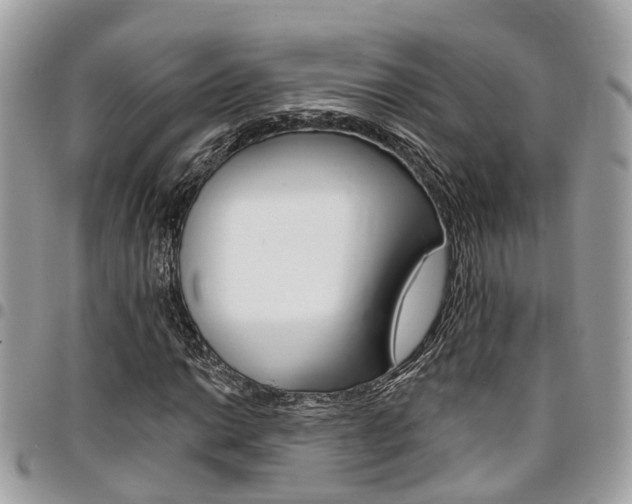 X0000096971014200802080918