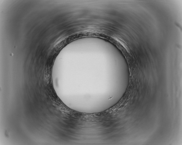 X0000096971015200802080918