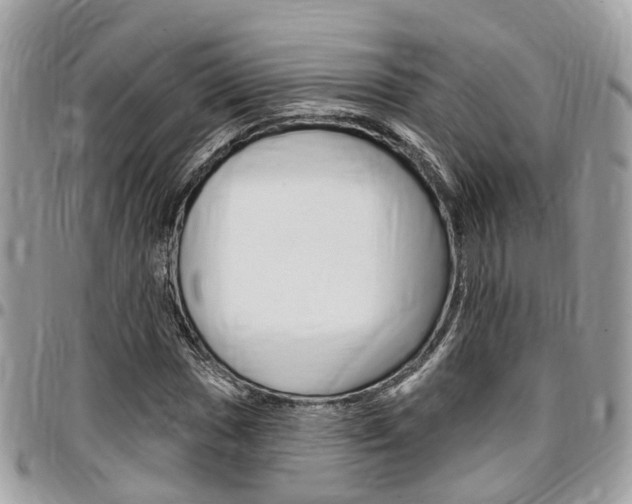 X0000096971017200802080918