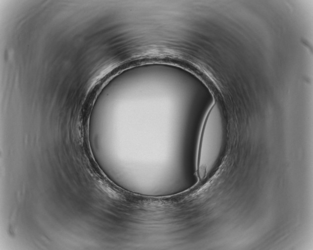 X0000096971018200802080918